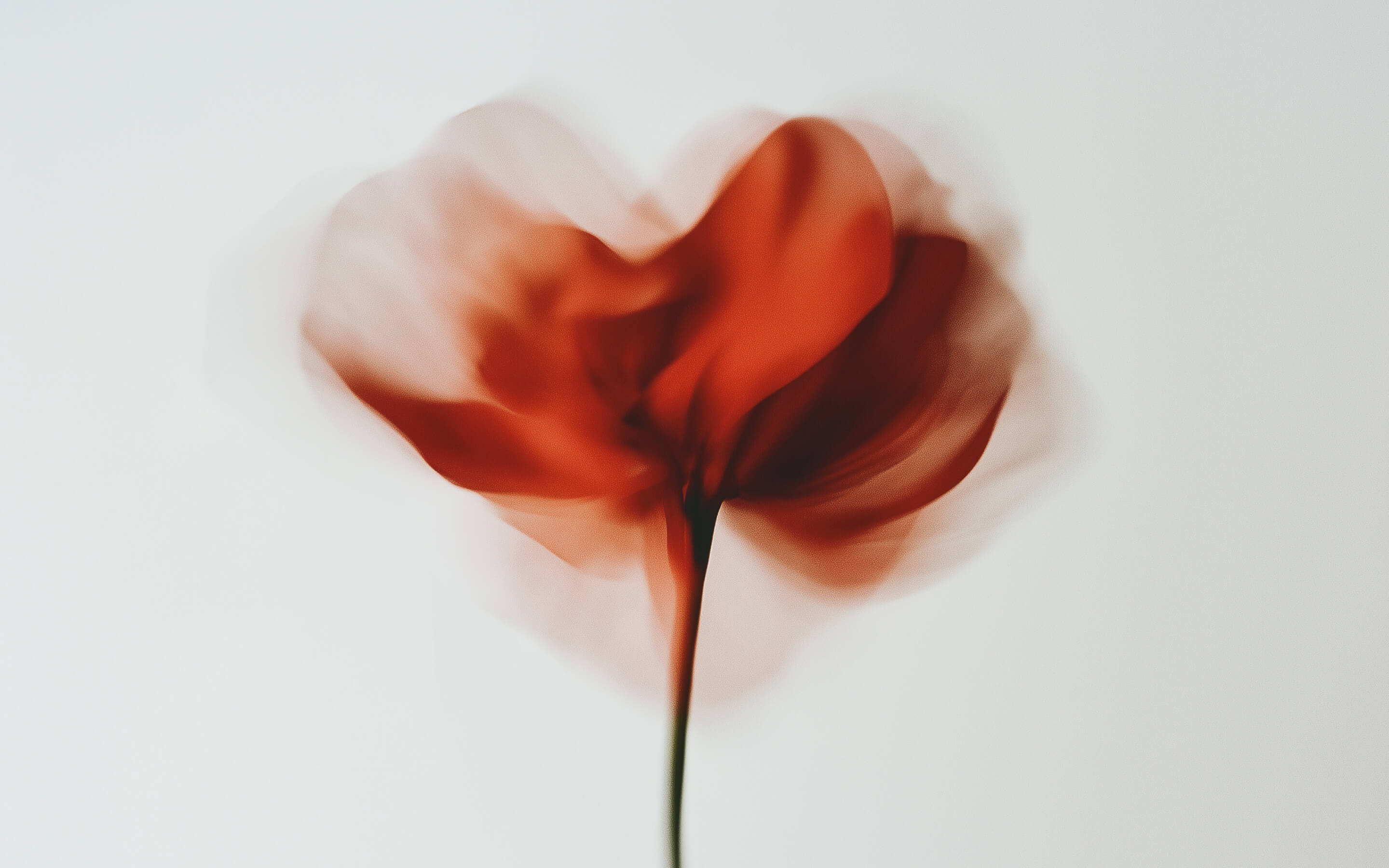 Codedcorp proje görseli